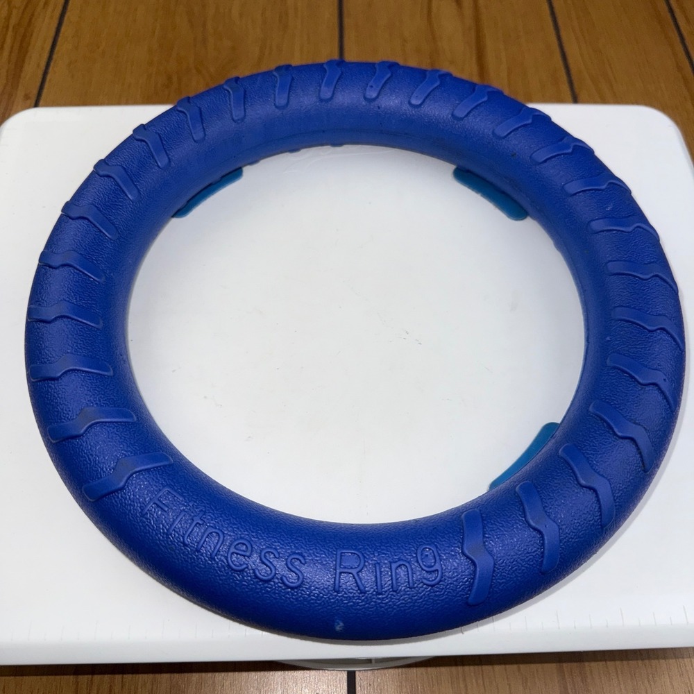 Blue Fitness Ring Foam Toss Toy Pet Training‎ Exercise Ring 11 Inch